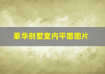 豪华别墅室内平面图片