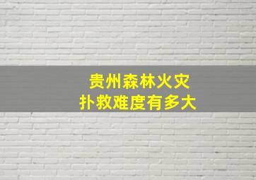 贵州森林火灾扑救难度有多大