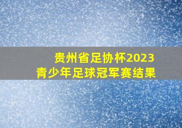 贵州省足协杯2023青少年足球冠军赛结果