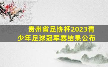 贵州省足协杯2023青少年足球冠军赛结果公布