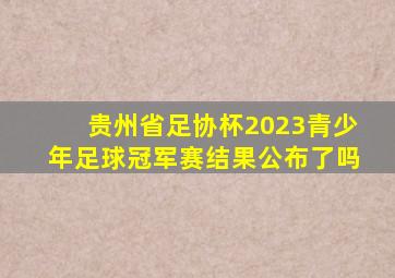 贵州省足协杯2023青少年足球冠军赛结果公布了吗