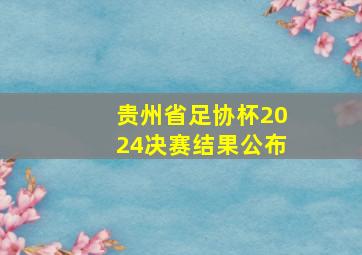 贵州省足协杯2024决赛结果公布