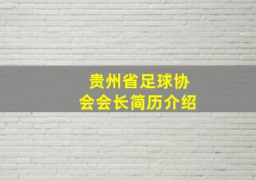 贵州省足球协会会长简历介绍