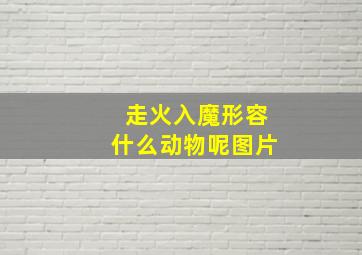 走火入魔形容什么动物呢图片