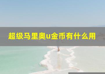 超级马里奥u金币有什么用