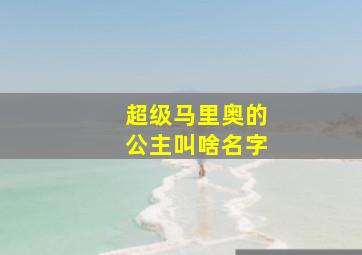 超级马里奥的公主叫啥名字