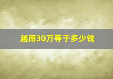 越南30万等于多少钱