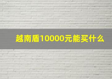 越南盾10000元能买什么