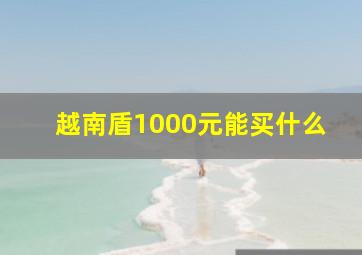 越南盾1000元能买什么