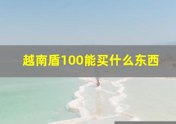 越南盾100能买什么东西