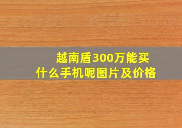 越南盾300万能买什么手机呢图片及价格