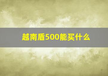 越南盾500能买什么