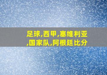 足球,西甲,塞维利亚,国家队,阿根廷比分