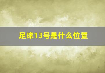 足球13号是什么位置