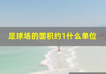 足球场的面积约1什么单位