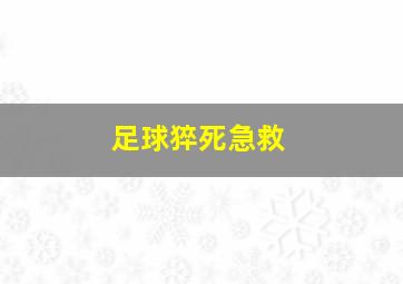 足球猝死急救