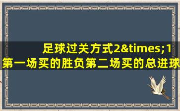 足球过关方式2×1第一场买的胜负第二场买的总进球数