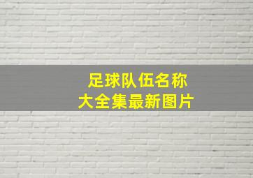 足球队伍名称大全集最新图片