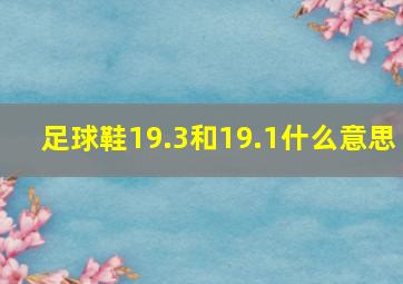 足球鞋19.3和19.1什么意思