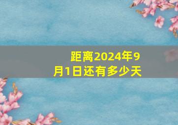 距离2024年9月1日还有多少天