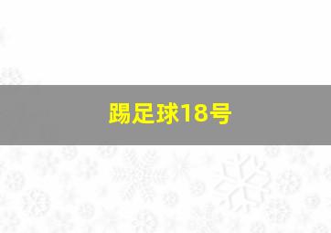 踢足球18号