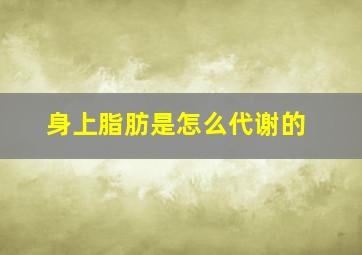 身上脂肪是怎么代谢的