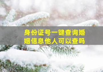 身份证号一键查询婚姻信息他人可以查吗