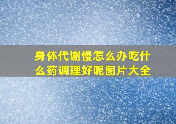 身体代谢慢怎么办吃什么药调理好呢图片大全