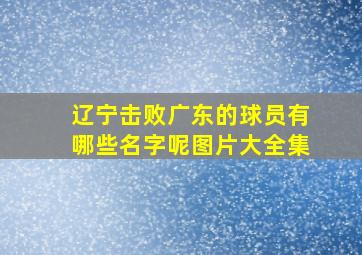 辽宁击败广东的球员有哪些名字呢图片大全集