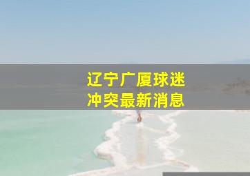 辽宁广厦球迷冲突最新消息