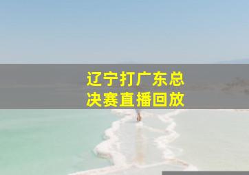 辽宁打广东总决赛直播回放