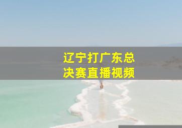 辽宁打广东总决赛直播视频