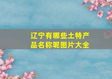 辽宁有哪些土特产品名称呢图片大全