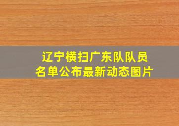 辽宁横扫广东队队员名单公布最新动态图片