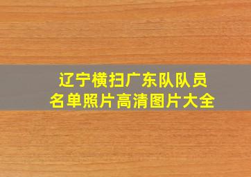 辽宁横扫广东队队员名单照片高清图片大全