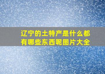 辽宁的土特产是什么都有哪些东西呢图片大全