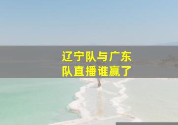 辽宁队与广东队直播谁赢了