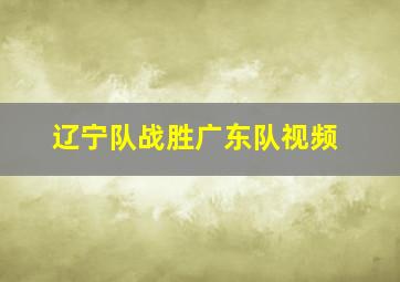 辽宁队战胜广东队视频