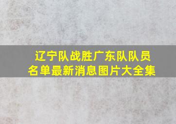 辽宁队战胜广东队队员名单最新消息图片大全集