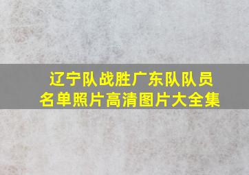 辽宁队战胜广东队队员名单照片高清图片大全集