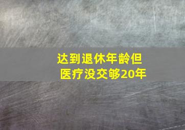 达到退休年龄但医疗没交够20年