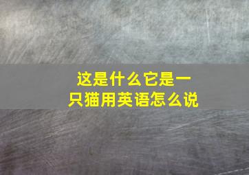 这是什么它是一只猫用英语怎么说