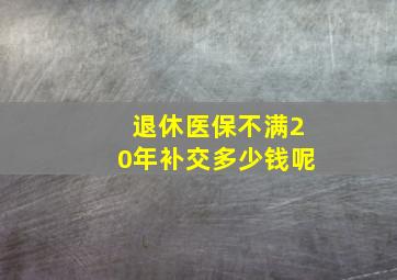 退休医保不满20年补交多少钱呢