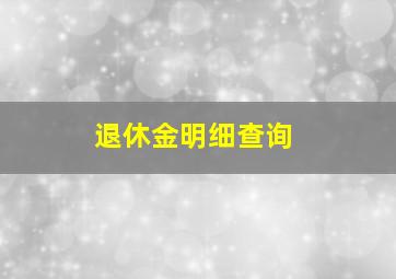 退休金明细查询