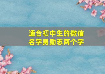 适合初中生的微信名字男励志两个字