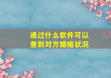 通过什么软件可以查到对方婚姻状况