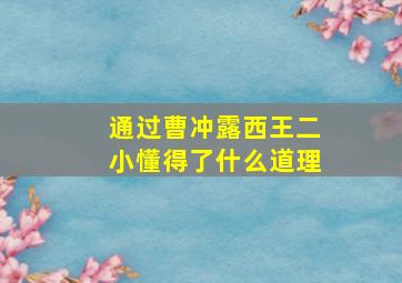 通过曹冲露西王二小懂得了什么道理