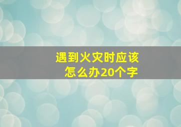 遇到火灾时应该怎么办20个字