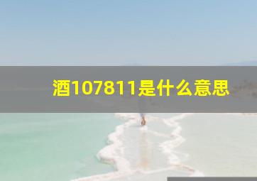 酒107811是什么意思