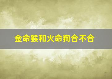 金命猴和火命狗合不合